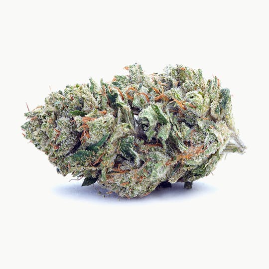 High Tide Organics - Lemon Head OG | Greenhouse 3.5g - 1