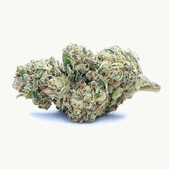 High Tide Organics - Rolls Choice | Greenhouse 3.5g - 1