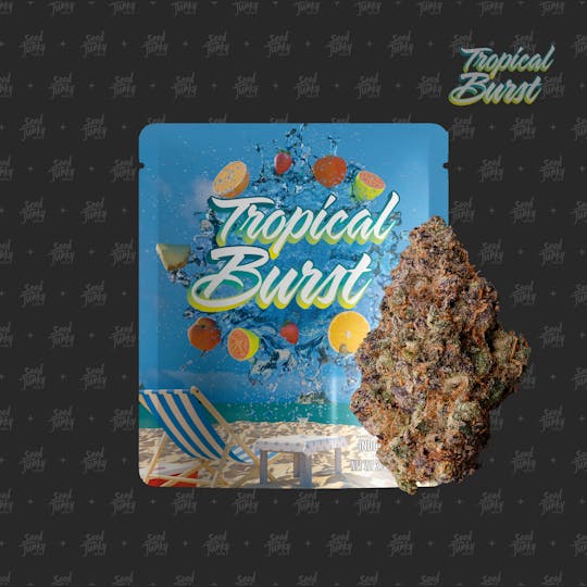Seed Junky - TROPICAL BURST- 3.5g - 1