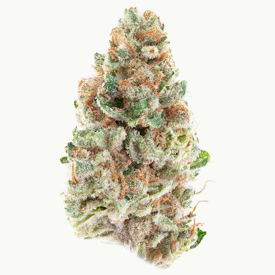 Hype Train - Pineapple Breeze - 1