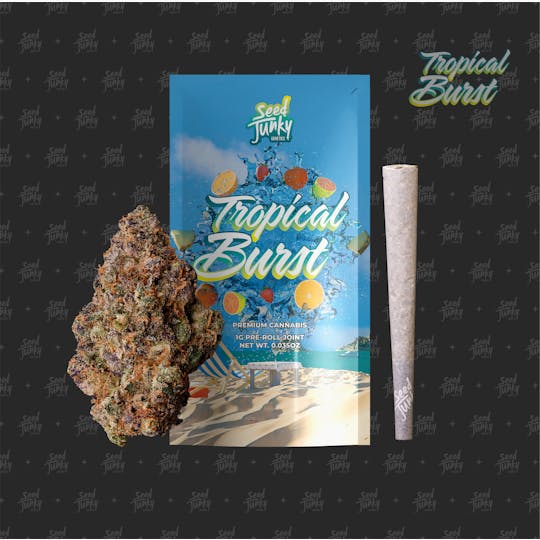 Seed Junky - TROPICAL BURST (1G Pre-Roll) - 1