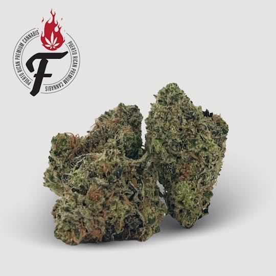 Fuego by Nature - Humbolt Legacy - Fuego - 1