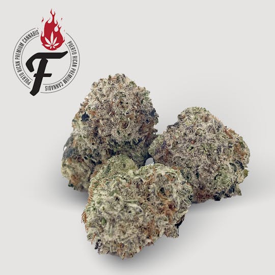 Fuego by Nature - Dirty Snow - Fuego - 1