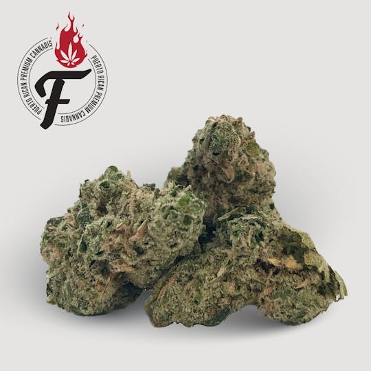 Fuego by Nature - Blue Dream x Chemdawg - Fuego - 1