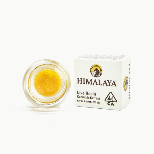 HIMALAYA - Honey Bun (Live Resin Concentrate) - 1G - 1