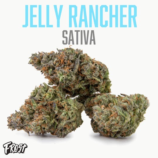 Frost - Jelly Rancher 3.5g (Sativa) - 1