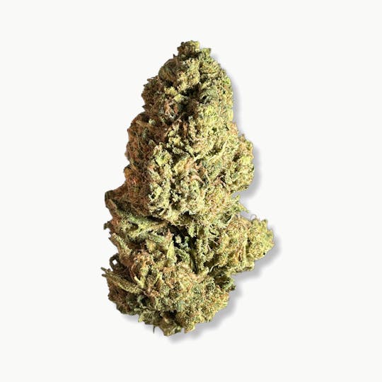 Smoakland - Exotix - Blue Rhino (H) - 14g - 1