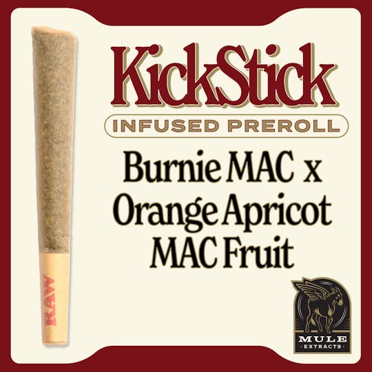 Mule Extracts - 1.0g Infused Pre-Roll - Burnie MAC x Orange Apricot MAC Fruit (Sativa) - 1