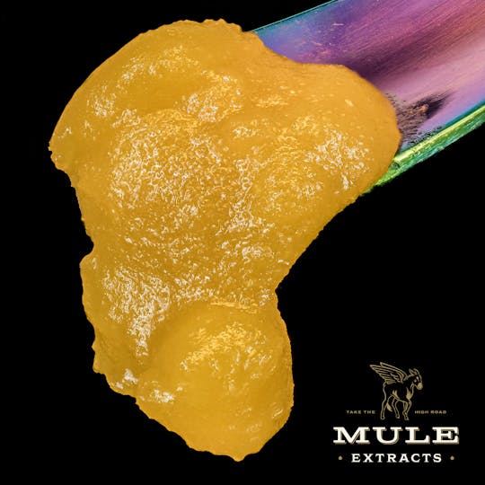 Mule Extracts - 1g Live Resin Badder - Hash Herer 68.4% (Sativa) - 1