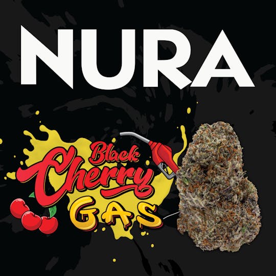 Nura - Black Cherry Gas - 1