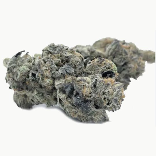 Animal - Carnival Candy - Indica - 32% THC - 1