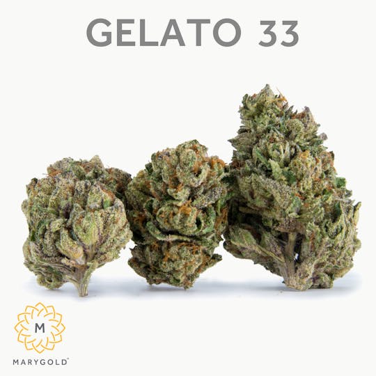 Marygold - Gelato 33 3.5g (Indica 31% THC) - 1