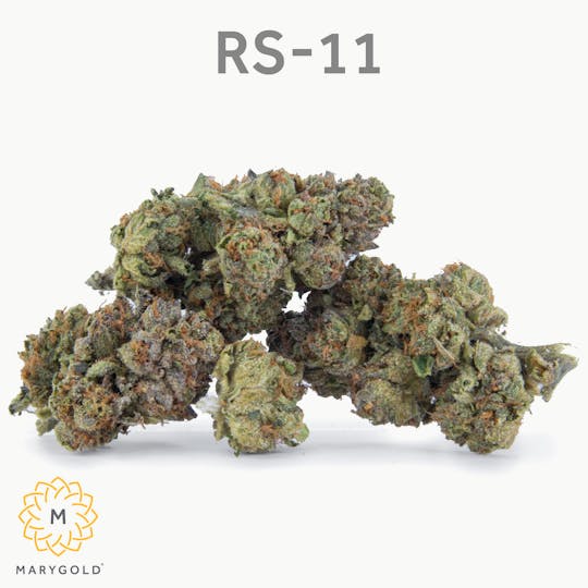 Marygold - RS-11 3.5g (Hybrid 29% THC) - 1