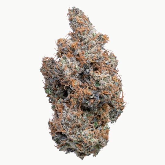 Wildfire - Early Lemon Berry Flower - 1