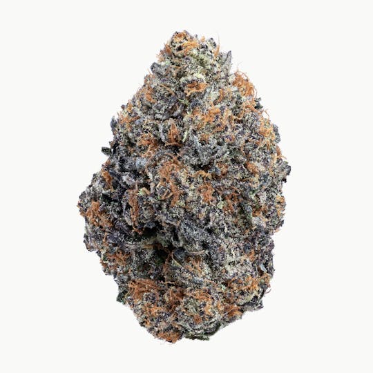 Wildfire - Biscotti Mint Flower - 1