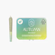 Ice Bath - 10pk Mini Prerolls