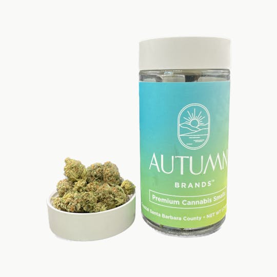 Autumn Brands - Frozen Lemons - 14g Smalls - 1