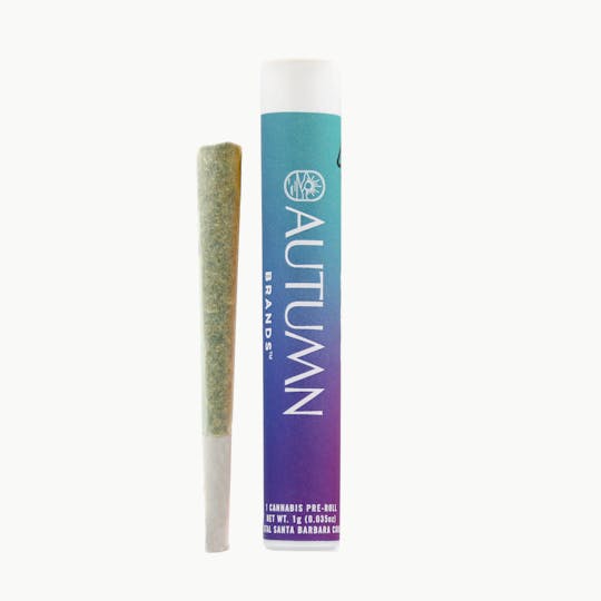 Autumn Brands - Grape Gas - 1g Preroll - 1