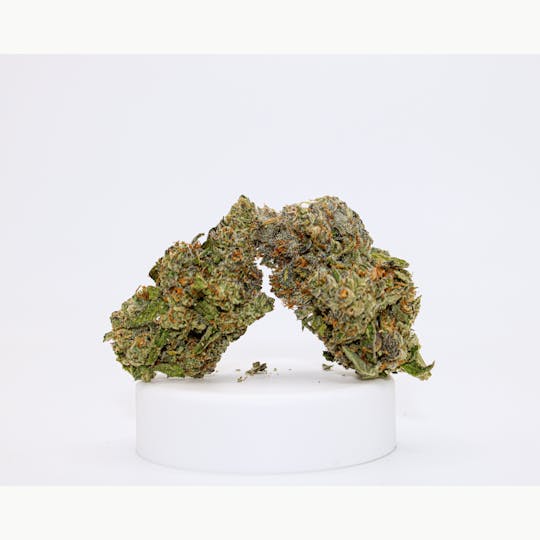 River Remedy - River Remedy: Gelato Cherry Limeade 3.5g - 1