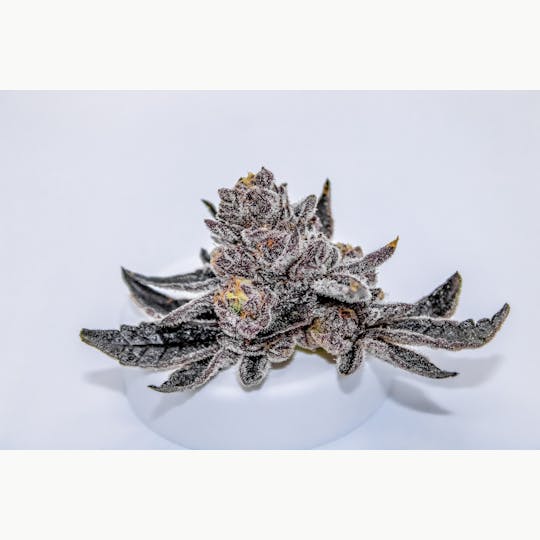 River Remedy - River Remedy: Modified Grapes 3.5g - 1
