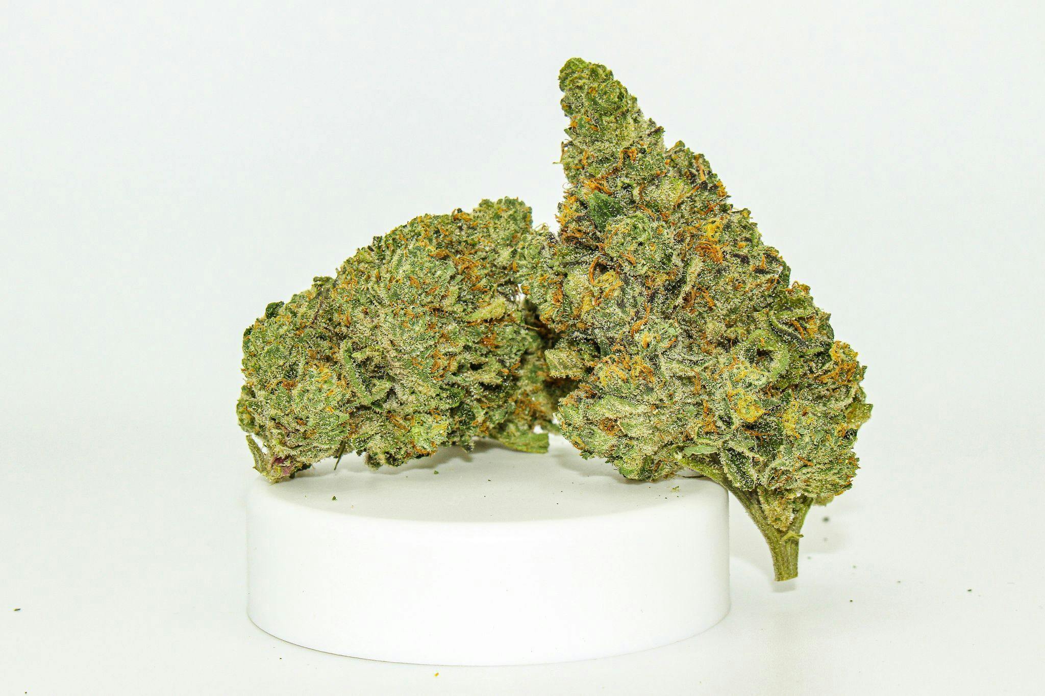 River Remedy - River Remedy: Watermelon Gelato 3.5g - 1