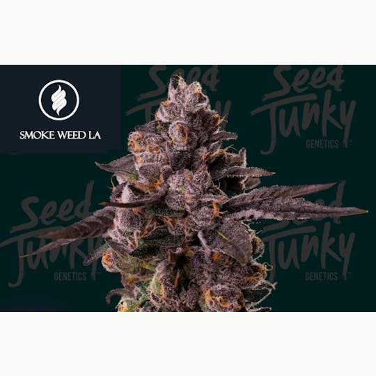 Smoke Weed LA - Smoke Weed LA - Permanent Marker x Lemon Cherry Gelato 3.5G - 1