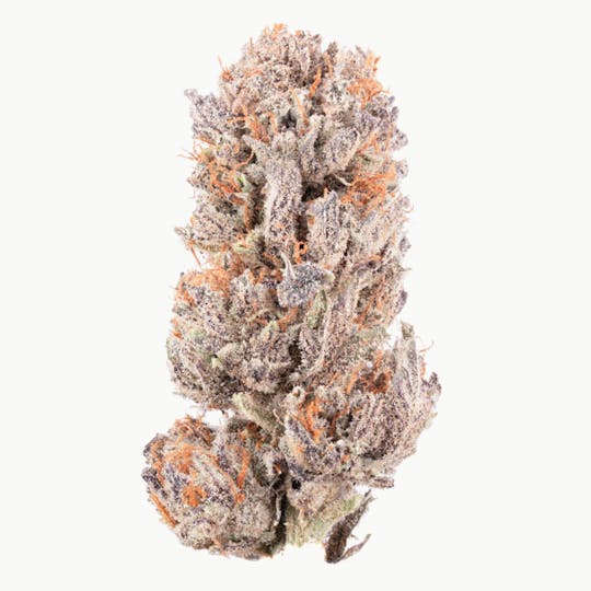 Quality Over Quantity - Tropical Zkittles B Nugs 14g - 1