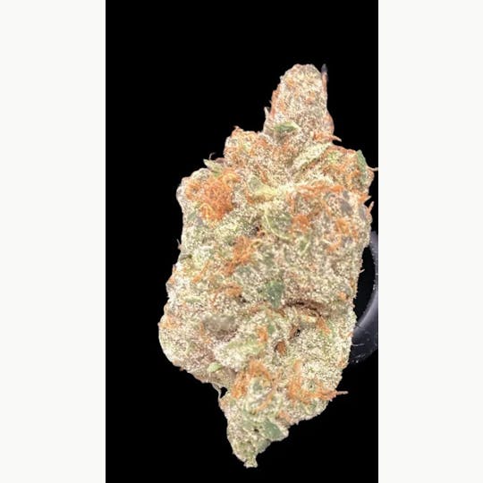 Top Shelf Express - Top Shelf Express - Private Reserve Jack - 1