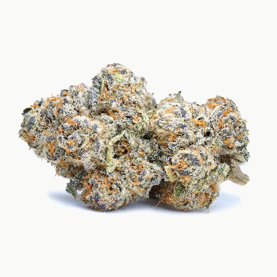 High Tide Organics - Lemon Cherry Gelato Small Buds | Indoor 14g - 1