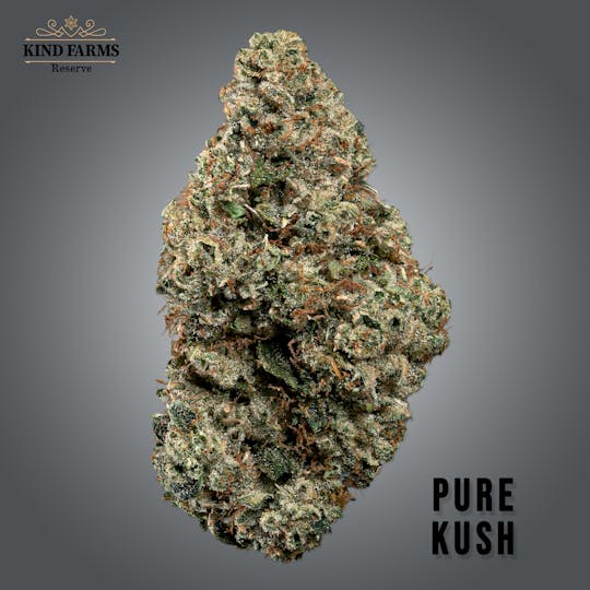 Kind Farms Reserve - Pure Kush - Kind Farms Reserve - 1