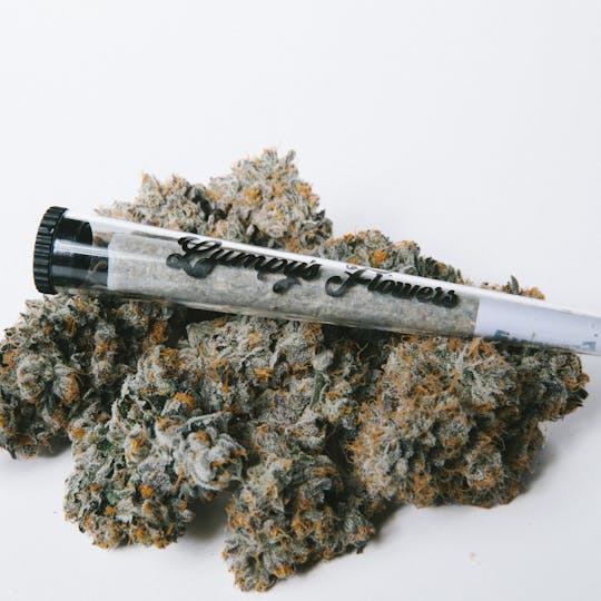 Lumpy's Flowers - Lumpy's Flowers | Apple Fritter | 1g Pre-Roll - 1