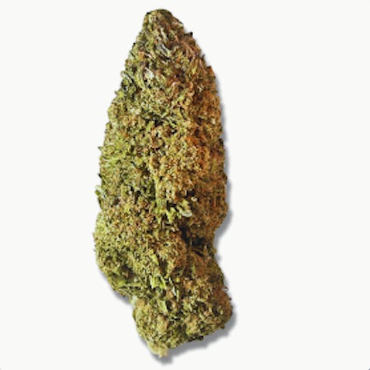 Smoakland - Exotix - Pluto Runtz (I) - 14g - 1