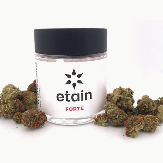 Etain - Forte 7g Smalls - Crème Brûlée - 1