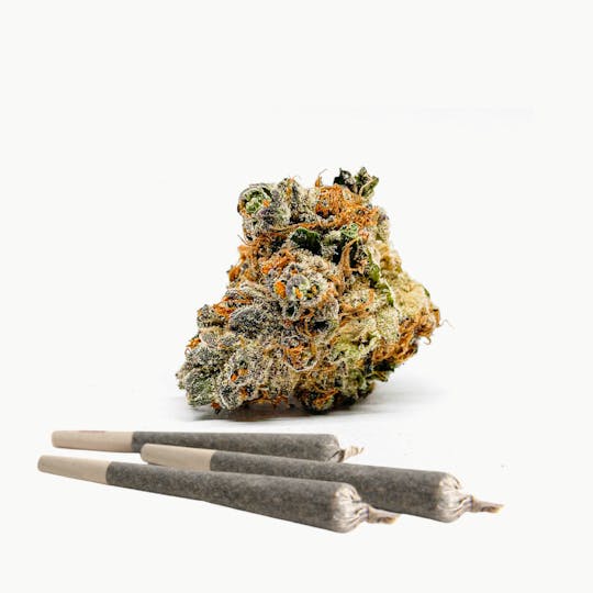 BeWell Organic Medicine - Dreamsicle (1g/3pk Pre-Roll) - BeWell - 1