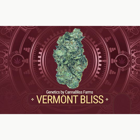Craft Cannabis of Vermont - Vermont Bliss - 1