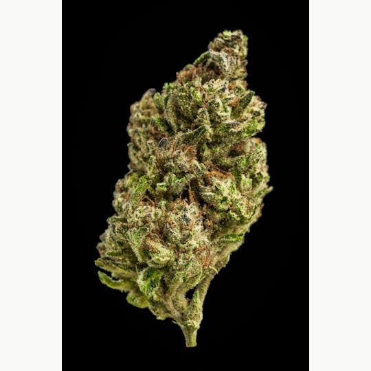 Farmer and the Felon - Farmer and the Felon | Flower Amalfi OG 1/8oz - 1