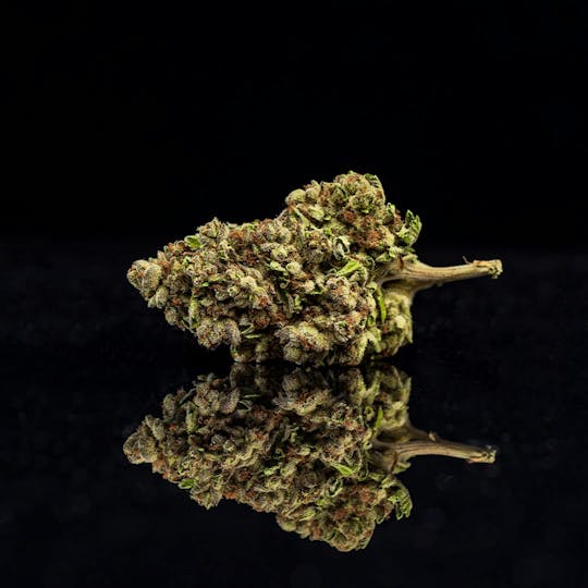 Farmer and the Felon - Farmer and the Felon | Flower Apple Fritter 1/8oz - 1