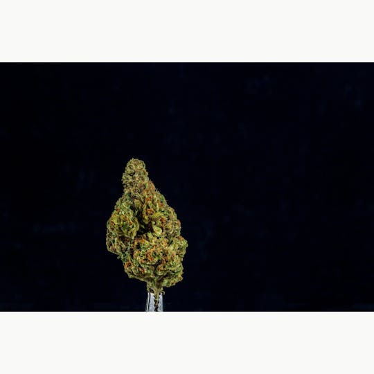 Farmer and the Felon - Farmer and the Felon | Flower Bell-Ringer 1oz - 1