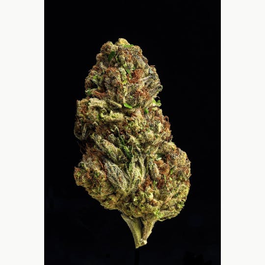 Farmer and the Felon - Farmer and the Felon | Flower Biscotti Pie 1/2oz - 1