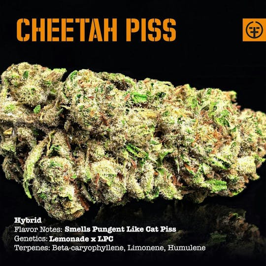 Farmer and the Felon - Farmer and the Felon | Flower Cheetah Piss 1oz - 1