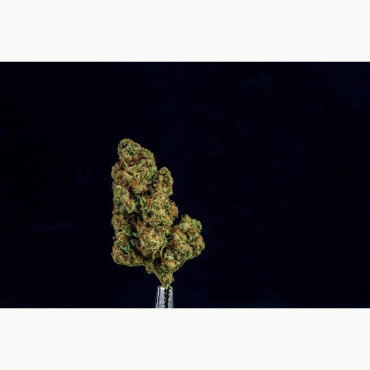 Farmer and the Felon - Farmer and the Felon | Flower Crushed Ice 1oz - 1