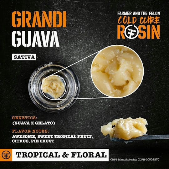 Farmer and the Felon - Farmer and the Felon | Grandi Guava - Cold Cure Rosin 1G - 1