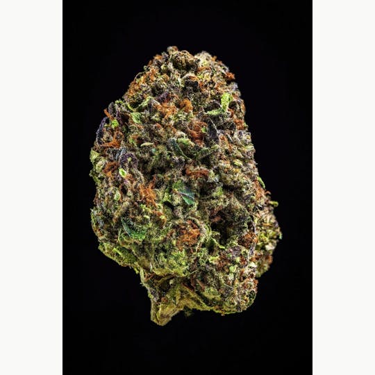 Farmer and the Felon - Farmer and the Felon | Flower Guava Gelato 1/8oz - 1
