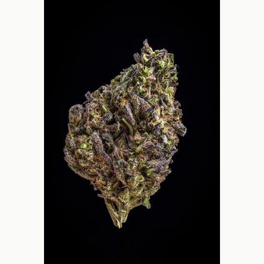 Farmer and the Felon - Farmer and the Felon | Flower Lemon Ghoul 1oz - 1