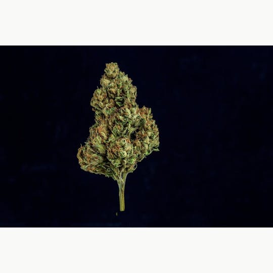 Farmer and the Felon - Farmer and the Felon | Flower Lime Sherbet Cooler 1/4oz - 1