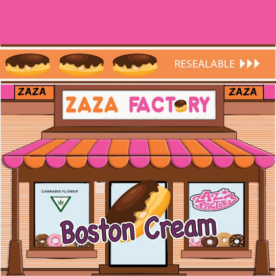 ZaZa Factory - Boston Cream - 1