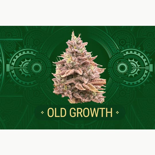 Craft Cannabis of Vermont - Old Growth - 1