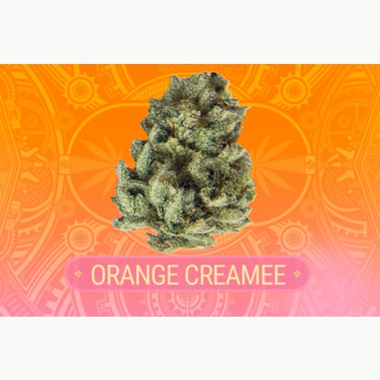 Craft Cannabis of Vermont - Orange Creamee - 1