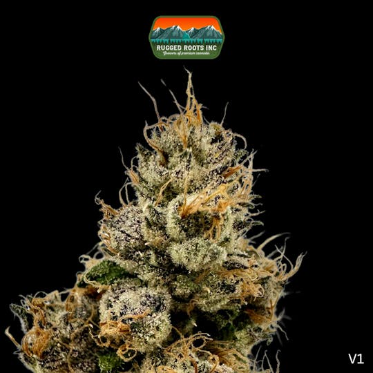 Rugged Roots - Rugged Roots | Runtz 3.5g Smalls - 1