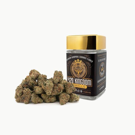 420 Kingdom - Mango Mintality - 7g Smalls - 1